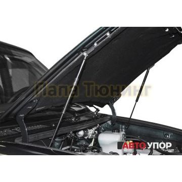 Амортизаторы капота, 2 шт. Rival для UAZ Pick Up I / I рестайлинг / I рестайлинг 2 2008-2014 / 2014-2016 / 2016-/UAZ Patriot I / I рестайлинг / I рестайлинг 2 / I рестайлинг 3 2005-2012 / 2012-2014 / 2014-
