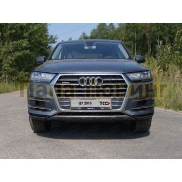 Рамка номерного знака Audi Q7 (комплект) ТСС для Любые