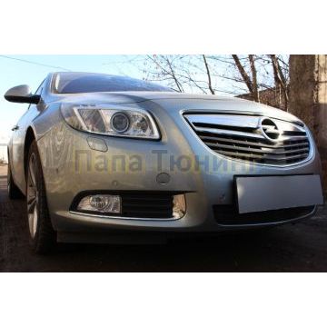 Защита радиатора Opel Insignia 2009-2014 black