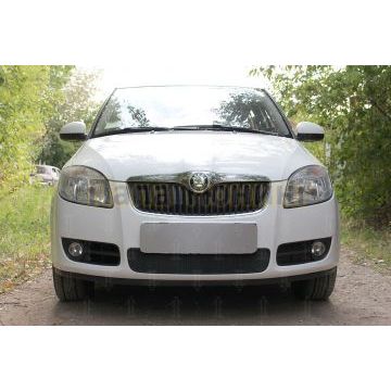 Защита радиатора Skoda Fabia 2 2007-2010 black