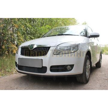 Защита радиатора Skoda Fabia 2 2007-2010 black
