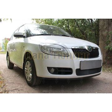 Защита радиатора Skoda Fabia 2 2007-2010 black
