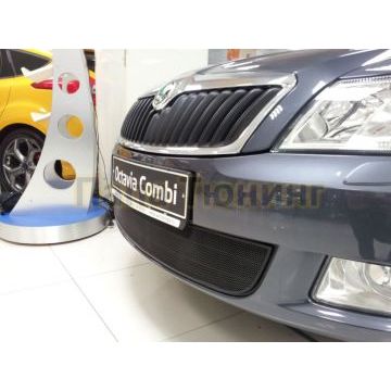 Защита радиатора Skoda Octavia А5 2009-2012 black