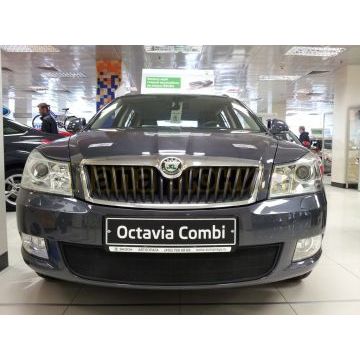 Защита радиатора Skoda Octavia А5 2009-2012 black