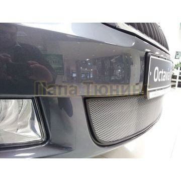 Защита радиатора Skoda Octavia А5 2009-2012 chrome