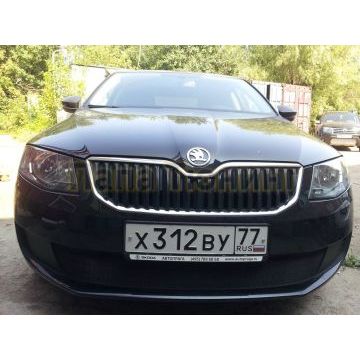 Защита радиатора Skoda Octavia А7 Active 2013-2017 black