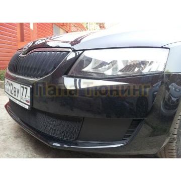 Защита радиатора Skoda Octavia А7 Active 2013-2017 black