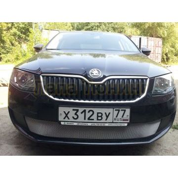Защита радиатора Skoda Octavia А7 Active 2013-2017 chrome