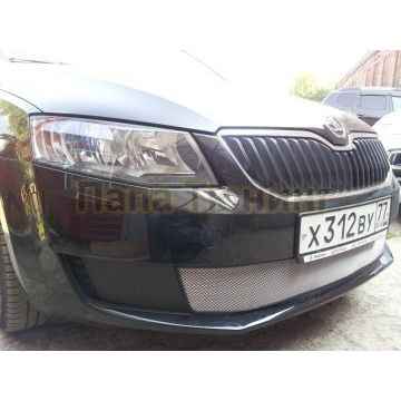 Защита радиатора Skoda Octavia А7 Active 2013-2017 chrome