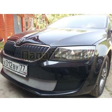 Защита радиатора Skoda Octavia А7 Active 2013-2017 chrome