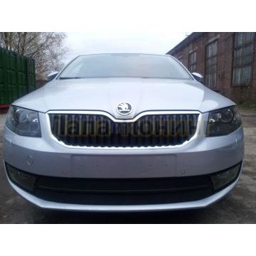 Защита радиатора Skoda Octavia А7 (Ambition, Elegance, Style) 2013-2017 black