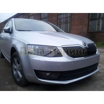 Защита радиатора Skoda Octavia А7 (Ambition, Elegance, Style) 2013-2017 black