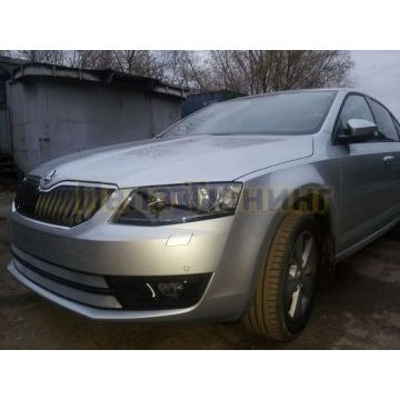 Защита радиатора Skoda Octavia А7 (Ambition, Elegance, Style) 2013-2017 chrome
