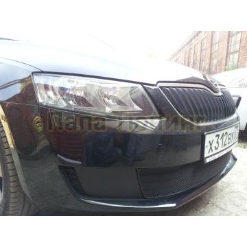 Защита радиатора Skoda Octavia А7 Active 2013-2017 black
