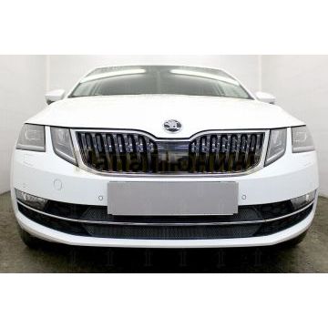 Защита радиатора Skoda Oktavia А7 2017- black