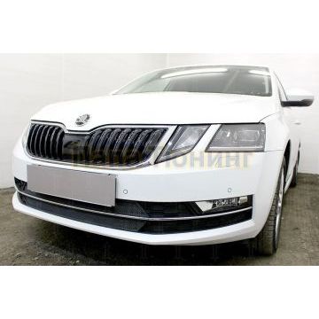 Защита радиатора Skoda Oktavia А7 2017- black