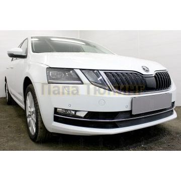 Защита радиатора Skoda Oktavia А7 2017- black