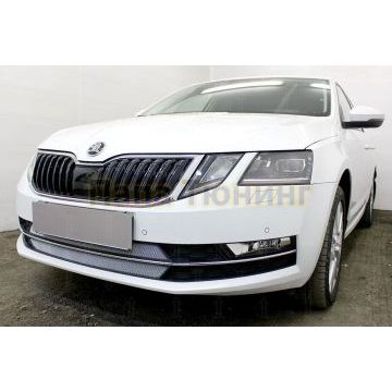 Защита радиатора Skoda Oktavia А7 2017- chrome