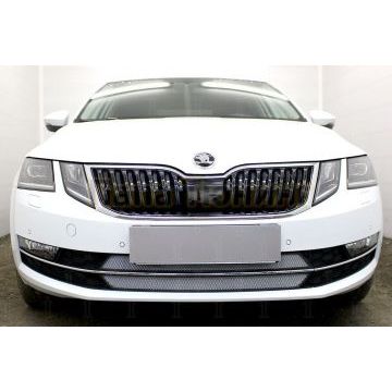 Защита радиатора Skoda Oktavia А7 2017- chrome