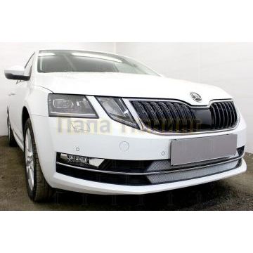 Защита радиатора Skoda Oktavia А7 2017- chrome