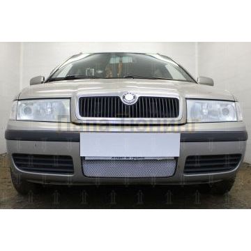 Защита радиатора Skoda Oktavia 2000-2011 chrome