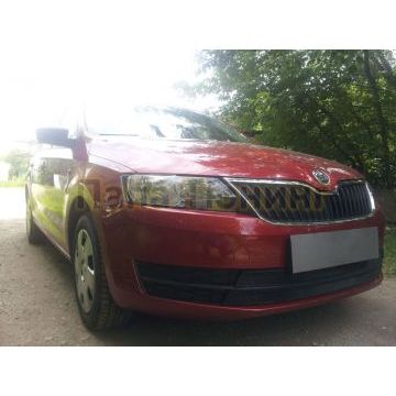 Защита радиатора Skoda Rapid 2013-2017 (2 части) black