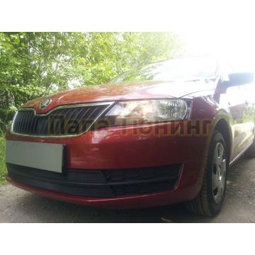 Защита радиатора Skoda Rapid 2013-2017 (2 части) black