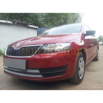 Защита радиатора Skoda Rapid 2013-2017 (2 части) chrome