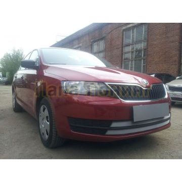 Защита радиатора Skoda Rapid 2013-2017 (2 части) chrome