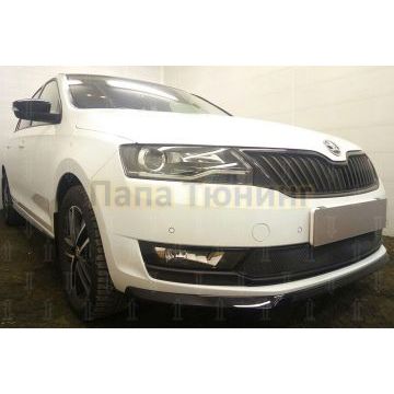 Защита радиатора Skoda Rapid 2017- (2 части) black