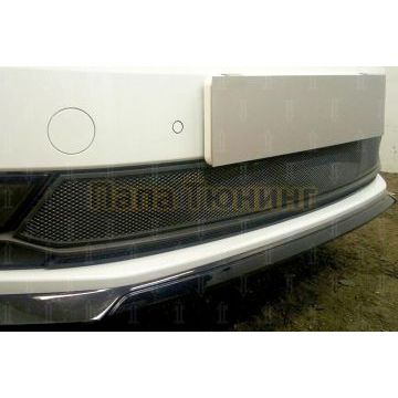 Защита радиатора Skoda Rapid 2017- (2 части) black