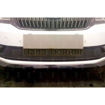 Защита радиатора Skoda Rapid 2017- (2 части) black
