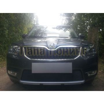 Защита радиатора Skoda Yeti City 2014- black