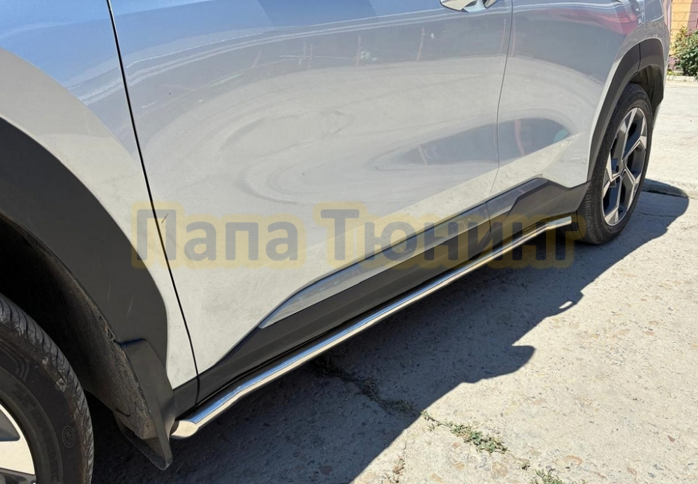 191649_zaschita-shtatnogo-poroga-pap